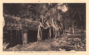 Ta Prohm, Envirosn Angkor Cambodia, Cambodge Unused 