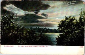 Postcard WATER SCENE Toledo Ohio OH AL2876