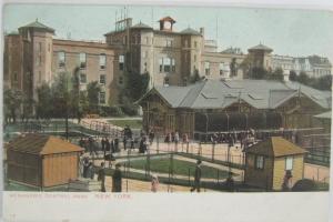 Menagerie Central Park NYC NY Undivided Back