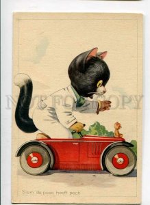 3140796 Dressed CAT in Small CAR vintage COMIC colorful PC