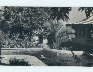 1950s PINK FANCY APARTMENT HOTEL IN CHRISTIANSTED - ST. CROIX US USVI Q5018
