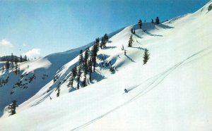 LAKE TAHOE, California CA  DOWN HE COMES  Skier At Squaw Valley c1960's Postcard