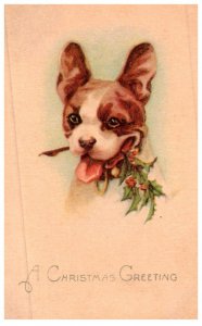 Dog ,   Holding Misitole , Christmas greeting