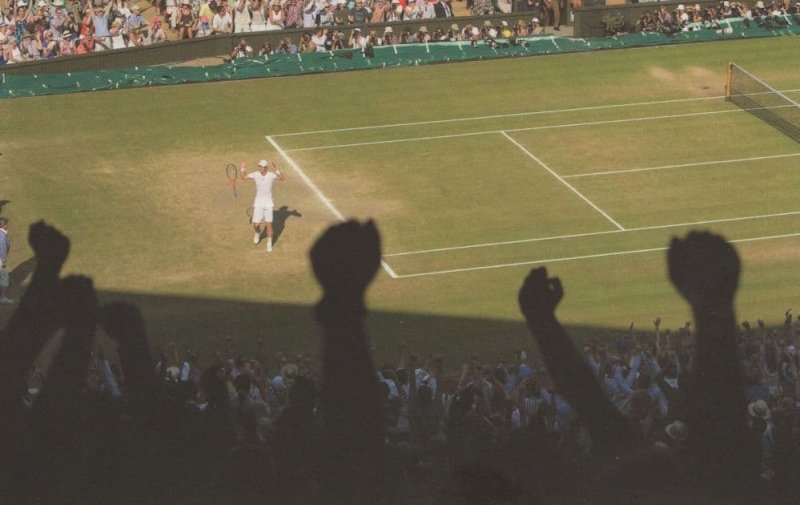 Andy Murray vs Novak Djokovic 2013 Wimbledon Tennis Victory Postcard