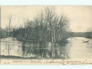 Pre-1907 RIVER SCENE Oneonta New York NY AE6997