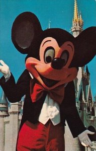 Welcome To Fantasyland With Mickey Mouse Walt Disney World Orlando Florida 1973