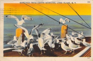 Long Island New York Pelicans On Dock, Center Moriches, Long Island Color Linen