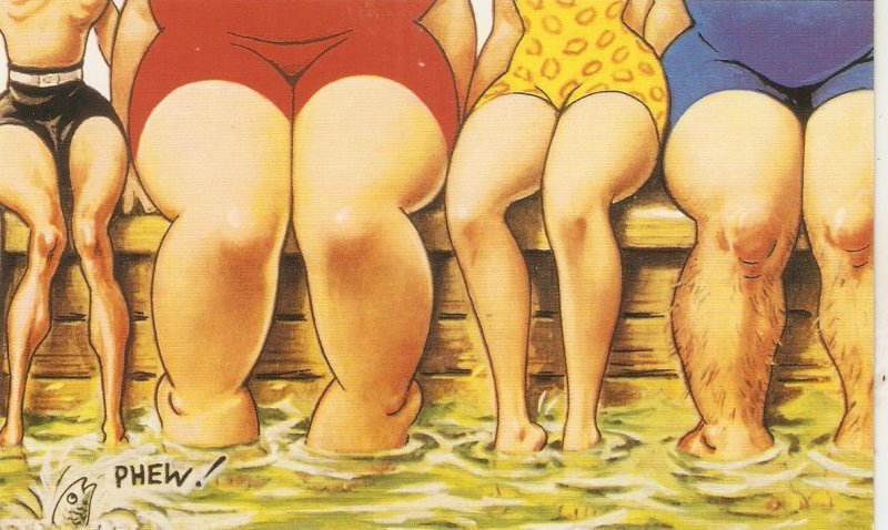 Women's legs. Here we are again.. Modern risque humour Bamforth postcard