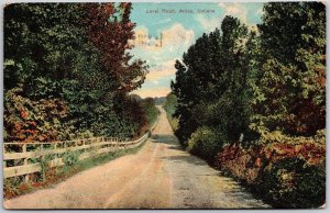 1912 Level Road Attica Indiana Roadway Attraction Roadway View Posted Postcard