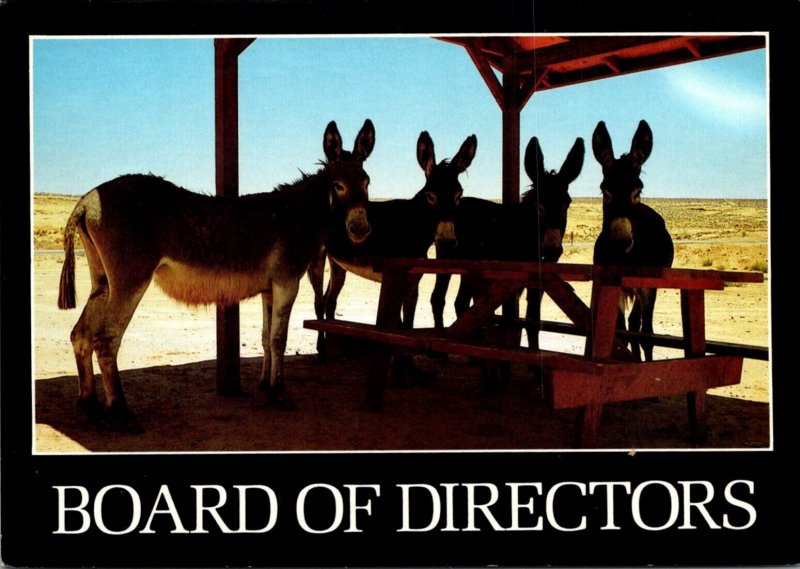 Donkeys The Board Of Directors