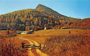 HIAWASSEE GEORGIA~BEAUTIFUL NORTHEAST~BELL KNOB MOUNTAIN POSTCARD