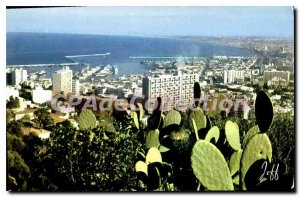 Postcard Panorama Old Algiers