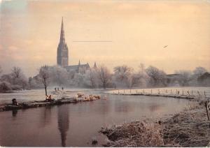 uk34890 salisbury cathedral uk