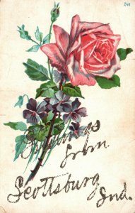 Vintage Postcard 1910's Greetings from Seottsburg Indiana Pink Rose