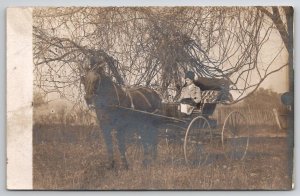 RPPC Edwardian Woman In Horse Drawn Buggy Wicked Tree Branches Postcard T21