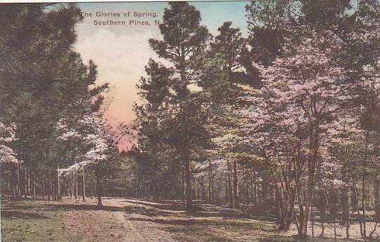 North Carolina Southern Pines The Glories Of Spring Albertype