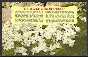 Legend Of The Dogwood - [MX-475]