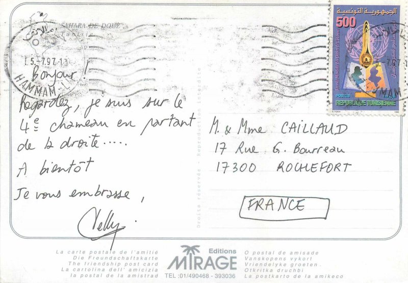 Animals Postcard Camels Caravan