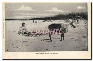 Old Postcard Polar Reindeer North Pole Alaska Hitch