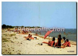 Postcard Modern Ghisonnaccia Vignale From The Beach