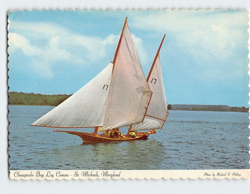Postcard Chesapeake Bay Log Canoes St. Michaels Maryland USA
