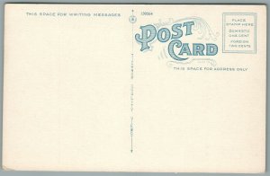 DOLGEVILLE NY MASONIC TEMPLE ANTIQUE POSTCARD