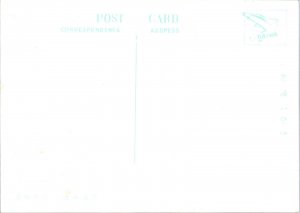 Japan Kochi Beach Vintage Continental Postcard CON13