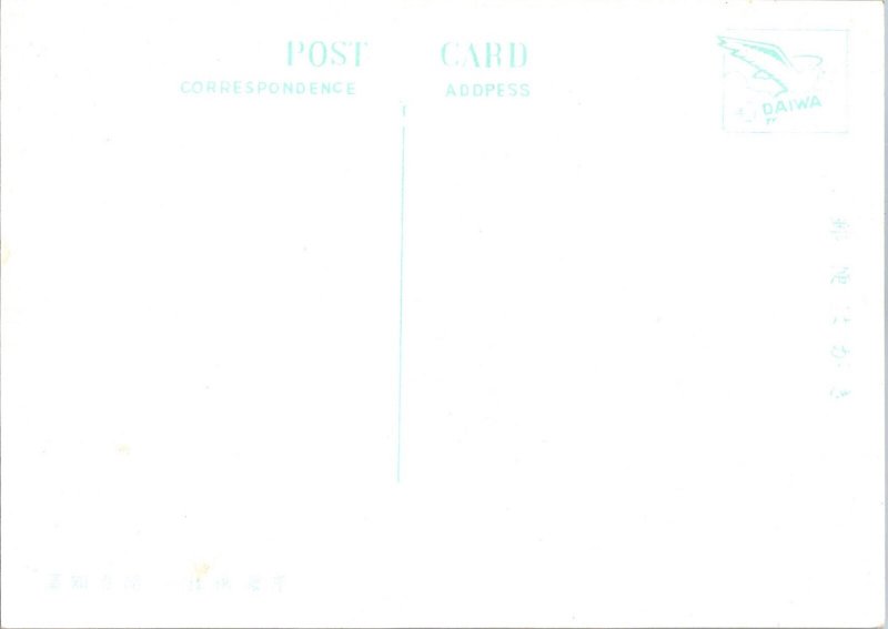 Japan Kochi Beach Vintage Continental Postcard CON13