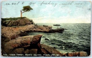 Postcard - The Fair Tree, Peaks Island - Portland, Maine