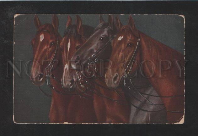 072236 Heads of HORSES vintage Color PC