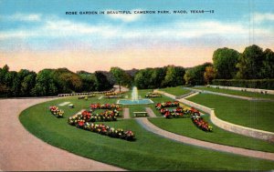 Texas Waco Rose Garden In Beautiful Cameron Park