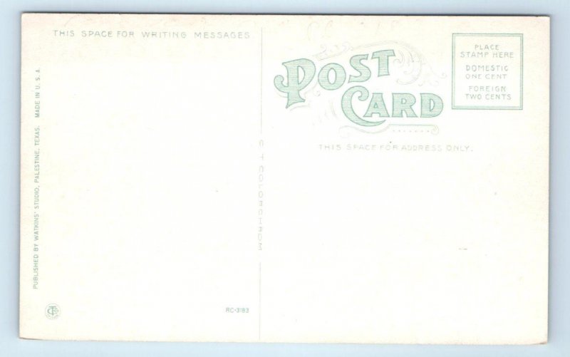 TEMPLE, TX Texas ~ c1910s Anderson County COURT HOUSE Postcard