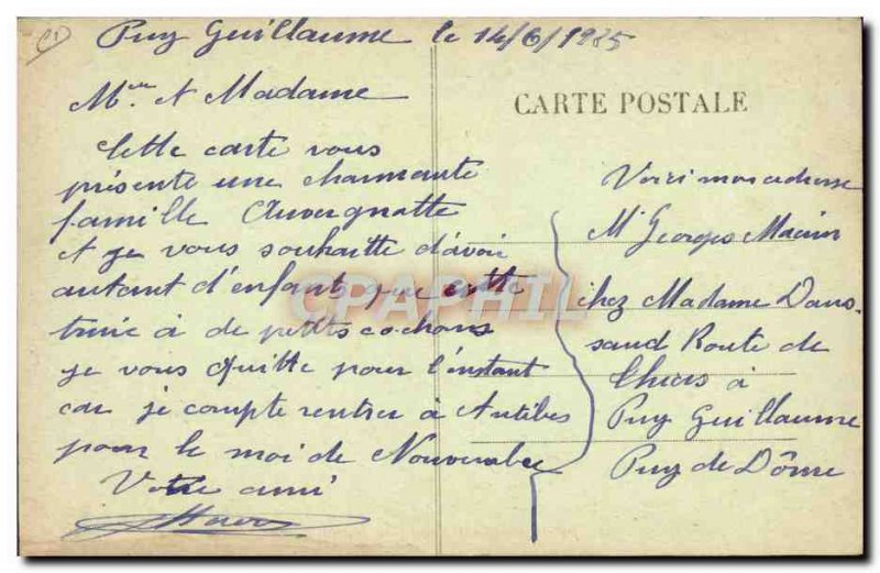 Postcard Old Pig Pig Folklore en Perigord Truffle