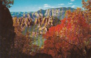 Arizona Oak Creek Canyon View From Schnebly Hill