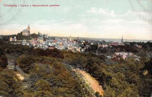 Cronberg im Taunus Germany panoramic birds eye view antique pc Y11964