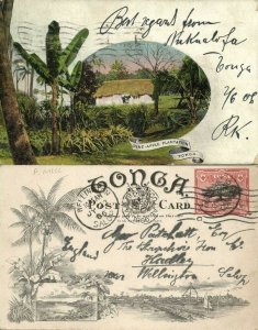 tonga islands, Pineapple Plantation (1906) Pre-Printed Stamp