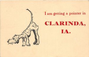 G17/ Clarinda Iowa Postcard 1908 Comic Dog Getting a Pointer