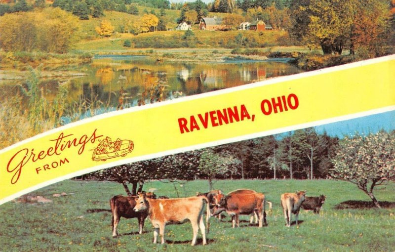 RAVENNA, OHIO Large Letter Greetings Portage County Cows c1960s Vintage Postcard