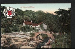 Northumberland Postcard - In Jesmond Dene  RS2995