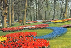 BR85554 keukenhof lisse holland netherlands