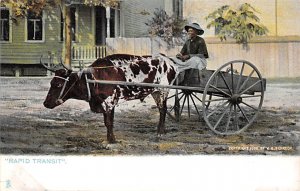 Bull pulling a cart Black Unused 