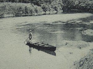 Monmouthshire SYMONDS YAT The Seven Sisters - Old Postcard by H.B.& S.