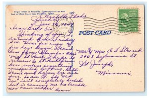 Virgin Timber Near Pocatello ID Idaho Postcard (BQ5)