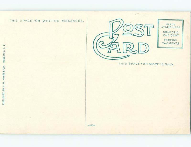 Unused Divided-Back ARLINGTON HOTEL Hot Springs Arkansas AR u9890