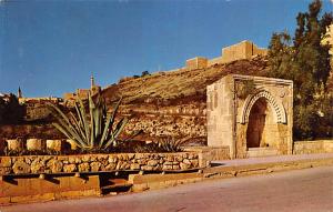 JerUSA lem - The Old City Wall  