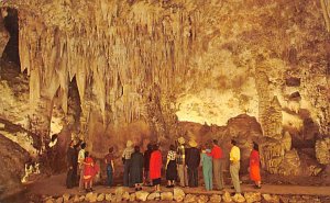 Queen's Chamber Carlsbad Caverns National Park, New Mexico NM s 