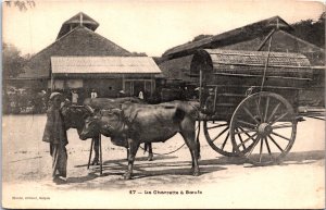 Vietnam La Charrette a Boeufs Cochinchina Postcard 09.65