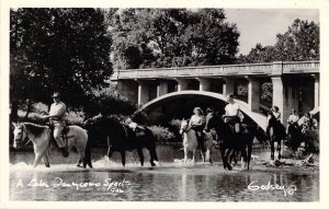 RPPC, Lake Taneycomo, Horse Rides,   Branson MO,Old Post Card