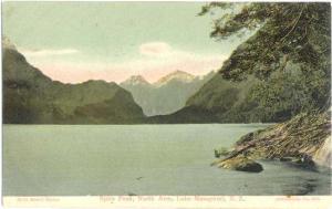 Spire Peak, North Arm, Lake Manapouri New Zealand NZ, Divided Back