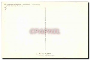 Old Postcard Fantasy Flowers Dandelion